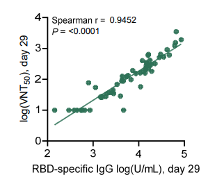 There we see again, many people do not have detectable neutralising titres at day 22. But also, in contrast to two dose groups, the single dose group show no increment after day 22. Same story for RBD-specific IgG which is a good proxy for neutralising activity.