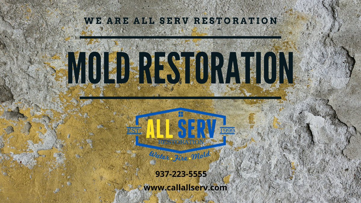 Mold spores are tiny organisms that float unseen through the air. One of our experts will inspect your property to help identify the cause of the problems.

Visit us >> callallserv.com

#moldremoval #moldremediation #mold #restoration #propertydamage #flooddamage