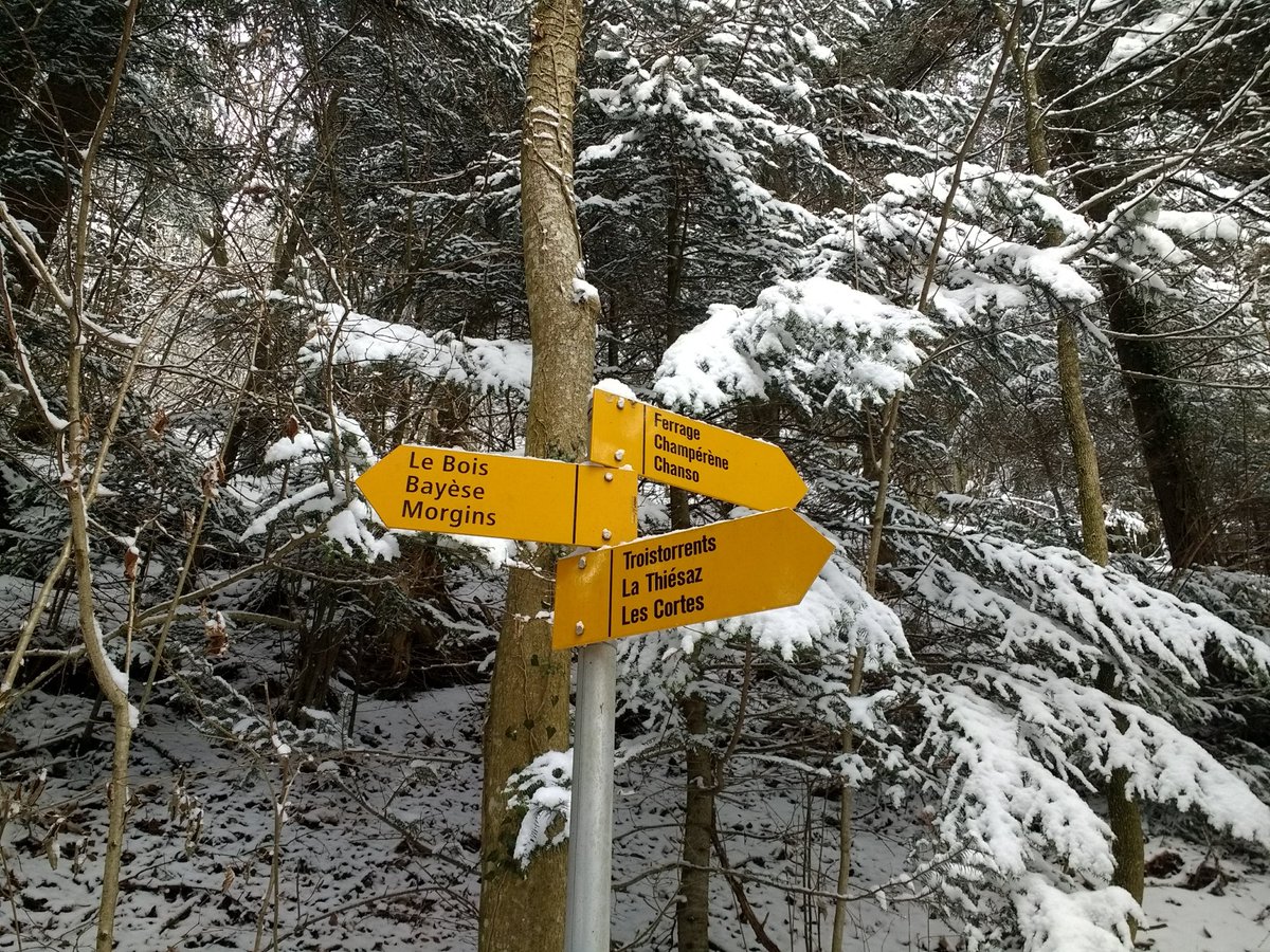 Anyone who has spent much time in forests knows that going off the path rapidly becomes a total PITA (yes, tree skiing can be fun with the right stand density near the tree line). Many forested National Parks elsewhere have quite restrictive trails, at least below the tree line.
