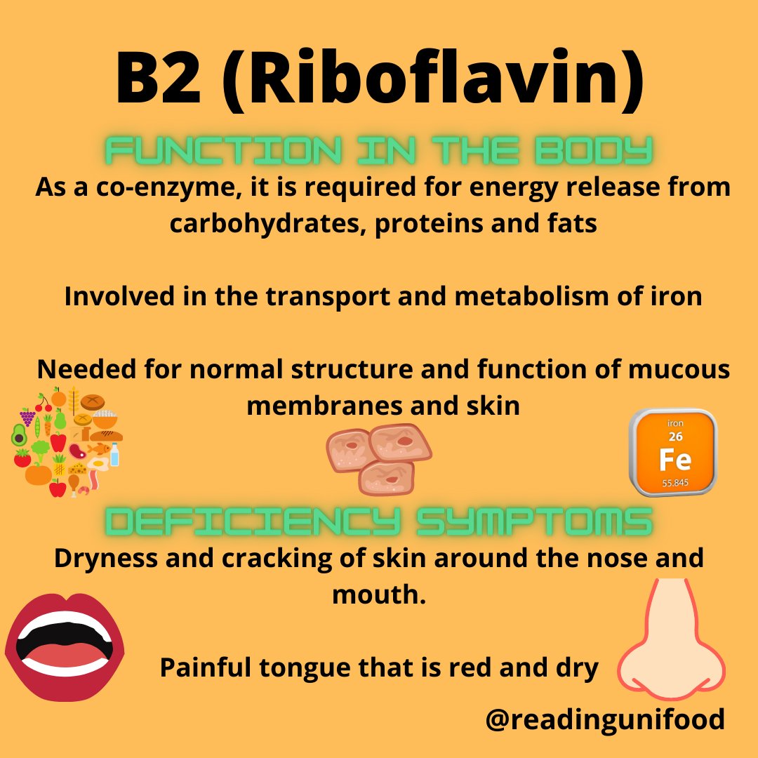 Continuing with our series on B vitamins, next up is B2 Riboflavin and some  exciting facts associated with it. Have a read through to learn about its  function in the body, deficiency, image size:1080x1080