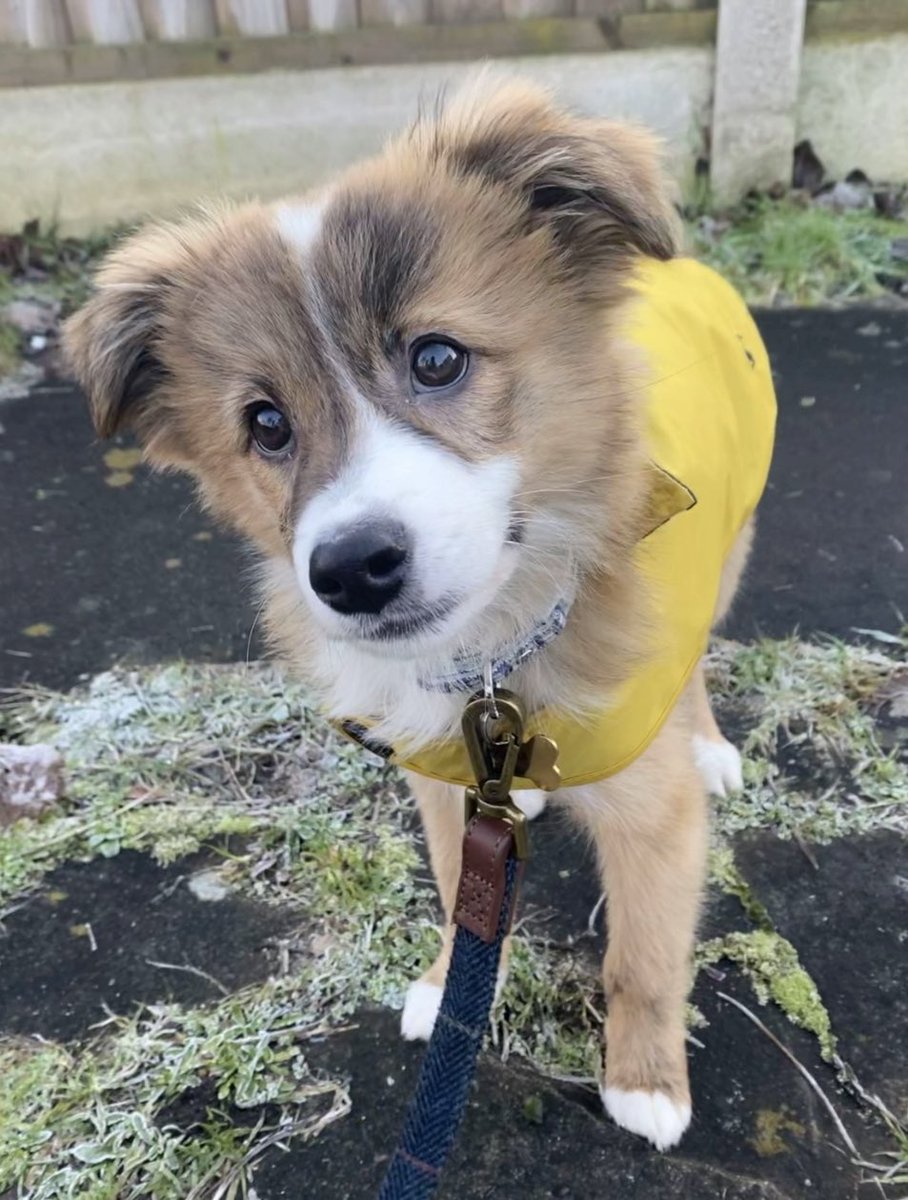 Ted 🐾 tweet media