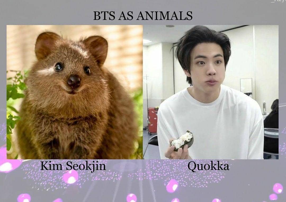 ultdaebun's tweet photo. Kim Seokjin or Quokka? https://t.co/nv8JboMHbe