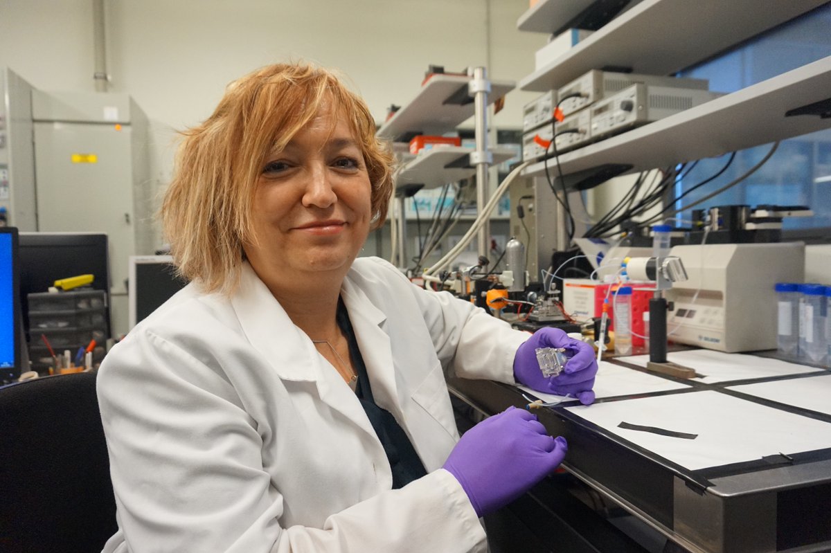 RadioSabadell's tweet photo. A les 11:30 #Almatí:
🔺 Tractament per consum de cànnabis amb @parctauli
🔺 Projecte #Convat de @icn2nano per desenvolupar un nou sensor per la detecció del #SARSCoV2
🔺Homenatge a #CharlesPerrault
🔺Descans digestiu amb @KalegriaBio
📻94.6
▶️ https://t.co/3gfxpIyXef https://t.co/qOMnMk0l8s