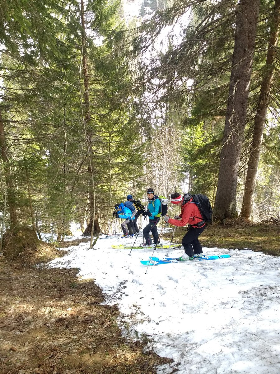 Anyone who has spent much time in forests knows that going off the path rapidly becomes a total PITA (yes, tree skiing can be fun with the right stand density near the tree line). Many forested National Parks elsewhere have quite restrictive trails, at least below the tree line.