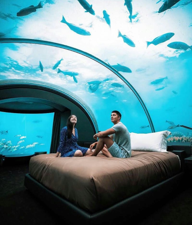 Underwater hotels and restaurants