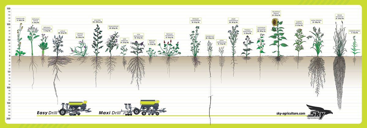 WIN A SKY POSTER!
We're giving away 10 of these Sky roots posters
All you have to do to enter is...
1.Follow @SkyAgriculture on Twitter
2. Like &amp; retweet this tweet
For extra chances to win, head to our Facebook &amp; Instagram, OPICOag. Ends 19/01
Ts&amp;Cs apply ow.ly/6HEN50D69bB