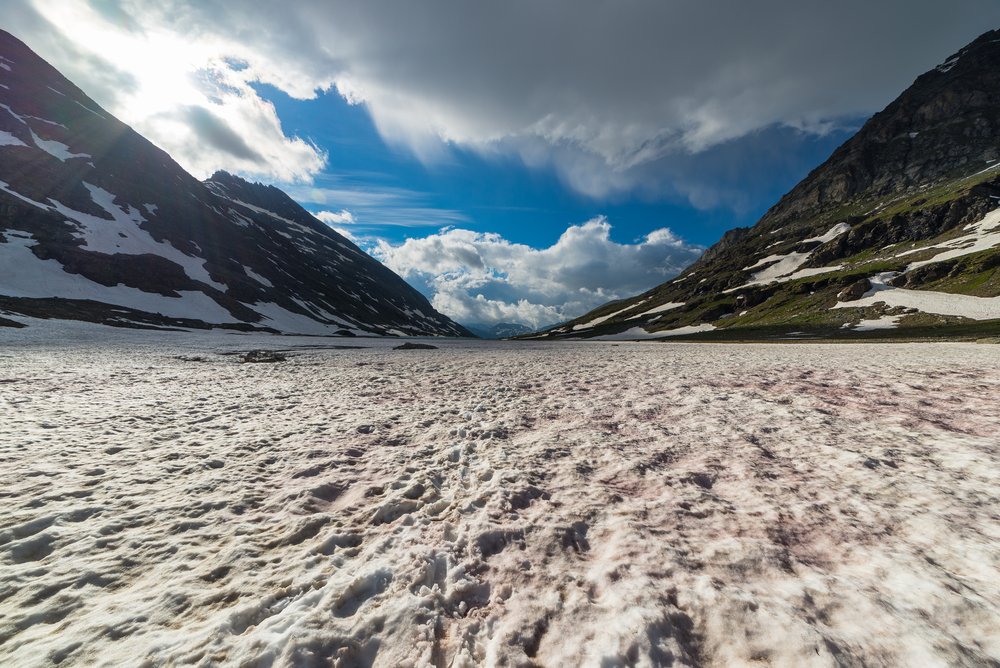 Focus tweet media