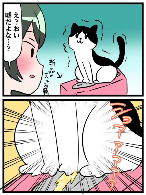 今日のできごと 