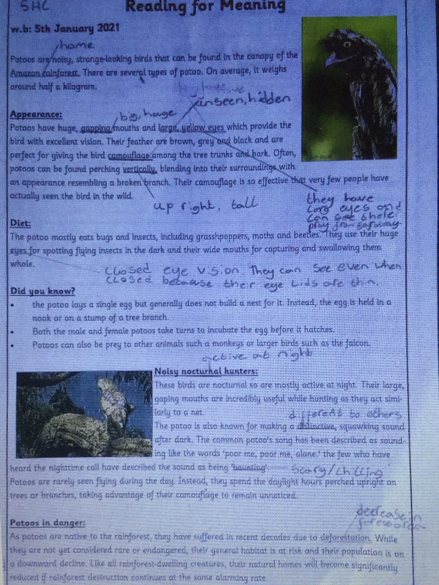 card_miss's tweet photo. Some fantastic work sent back from children working from home. I am so impressed! https://t.co/qnJQcghGo4