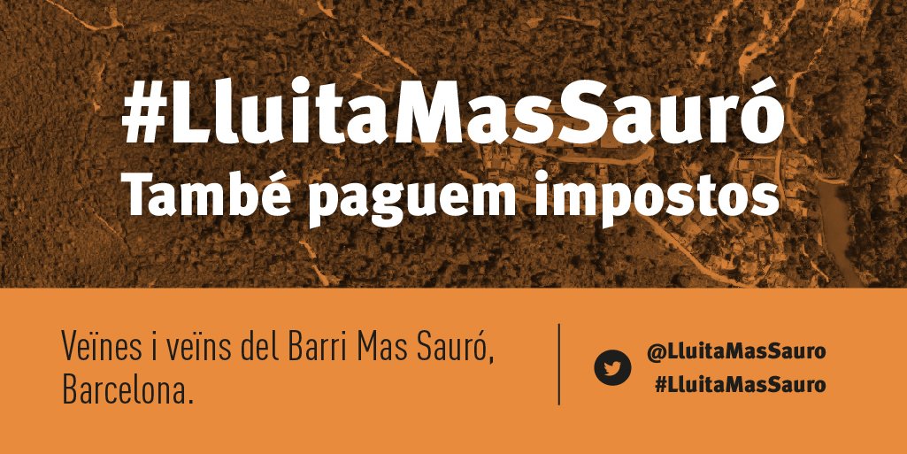 LluitaRectoret tweet media