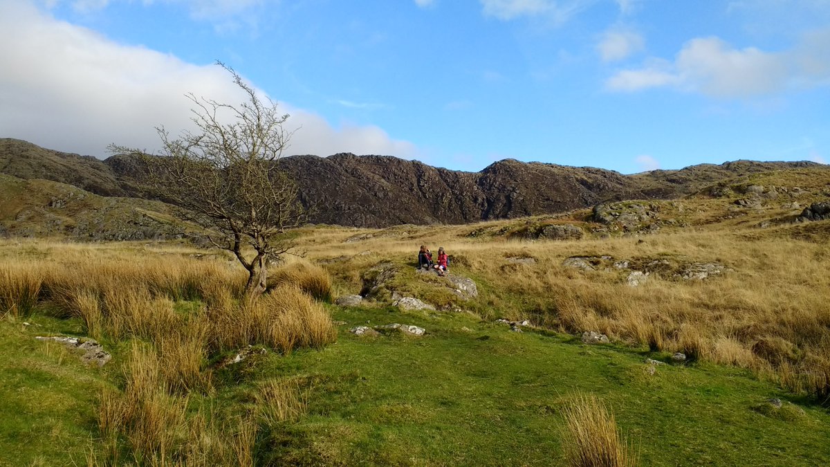 All this is not to say we couldn't use some more trees in the British uplands. And I'm definitely up for totally overhauling our insane system of agricultural payments! But conservationists need to remember most normal ppl see the world very differently from them.
