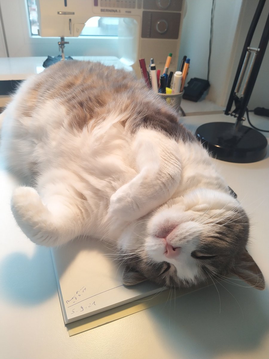 KarinTaglang's tweet image. My notes are always her favourite thing to sleep on 😅 
#lockdownstruggles