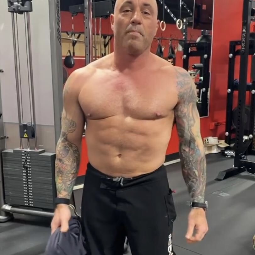 why joe rogan built like moto moto? 