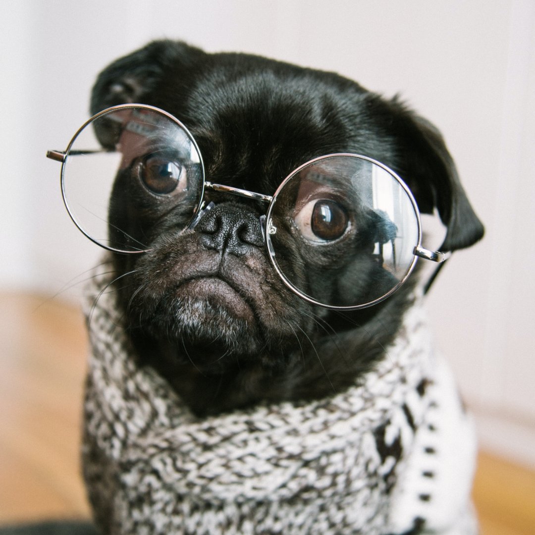 OLearyLandP's tweet photo. Put on your reading glasses and check out our first blog of the year with this week's "Should have, could have, would have" We detail reasons to adjust your financial plans to keep you (or get you) on track. #becauselifehappens #getadvice #Ireland 
https://t.co/kCKKS2M53u https://t.co/sO8fr8giTq