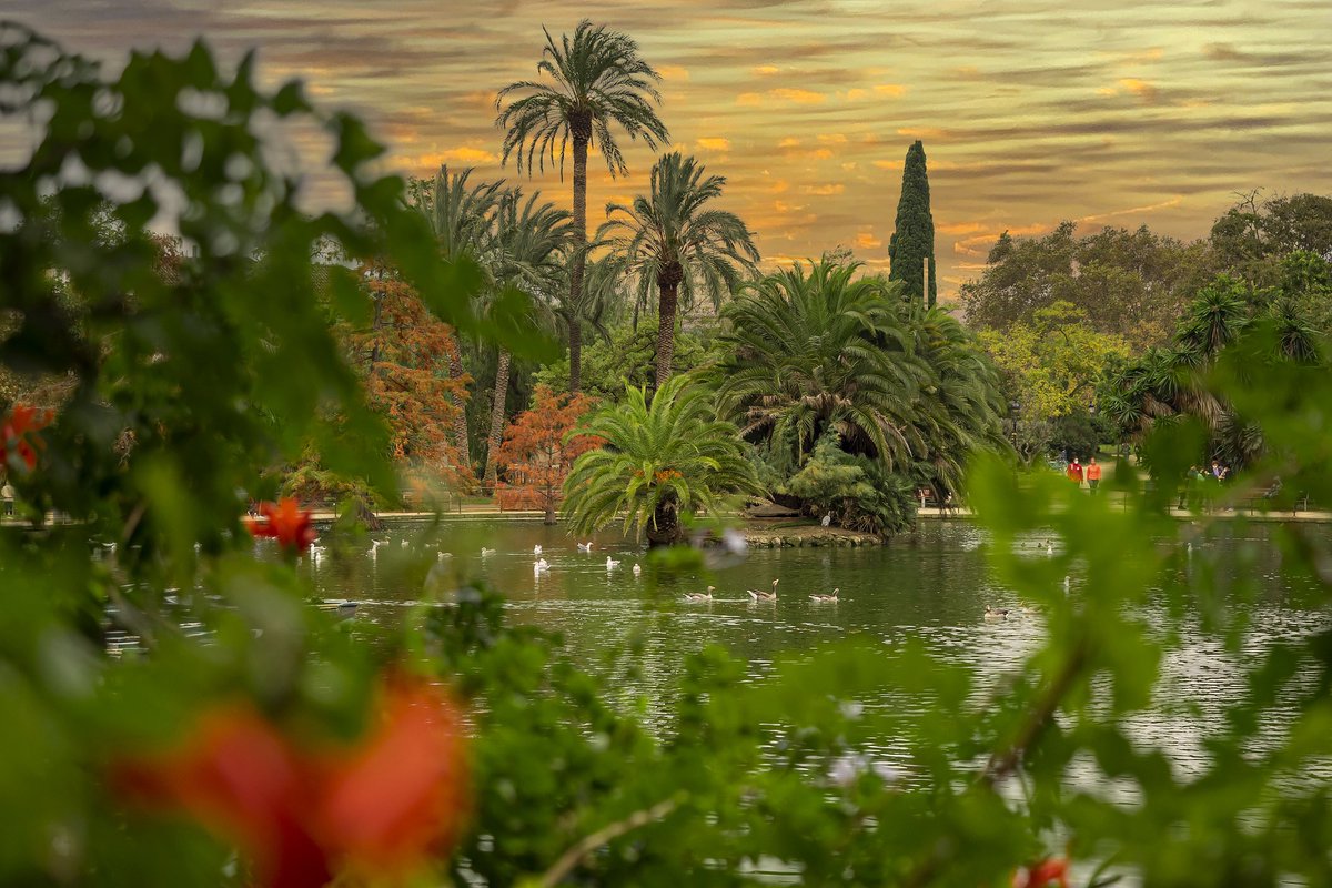 ctforestal's tweet photo. Una nova eina permet mesurar la qualitat dels #espais #verds #urbans. Resultat d'un estudi publicat recentment a Urban Forestry and Urban Greening, amb @ICTA_UAB i @ISGLOBALorg, @PabloKnobel, @RoserManeja  
 https://t.co/j56glBFYkH, https://t.co/KHg33DJFh6