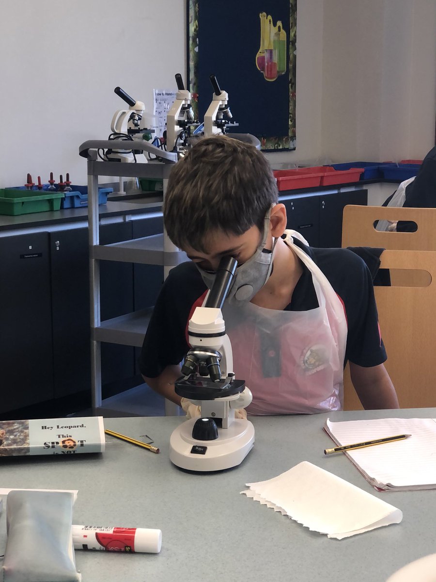 DAA Middle School tweet media