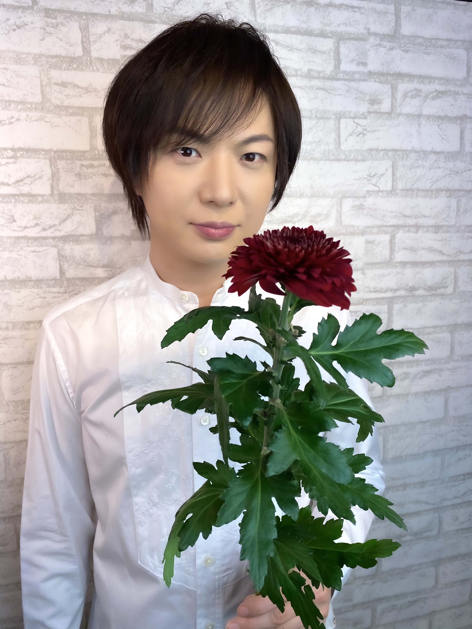 تويتر 竹島宏スタッフ 公式 على تويتر 赤菊 赤菊の花言葉は あなたを愛しています 今日の菊 セノノーマレッタ と書い てありましたがネットで 調べたら何故か出てきません ご存知の方いらっしゃいますか 赤の物語はつづく 今日も１日お疲れ様でした
