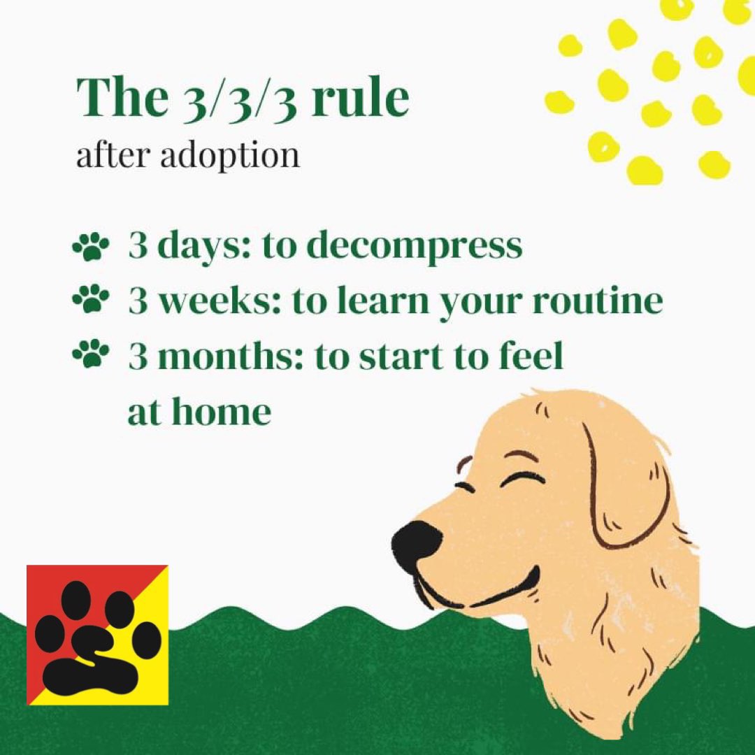 BarkBustersGA's tweet image. #Adopting #RescueDogs can be stressful 

Give me a call and let’s work together to make the transition the best for everyone 

▶️ (877) 500-BARK ◀️

#tuesdayvibe #dogtraining #BarkBustersGA #tuesdaymotivations
