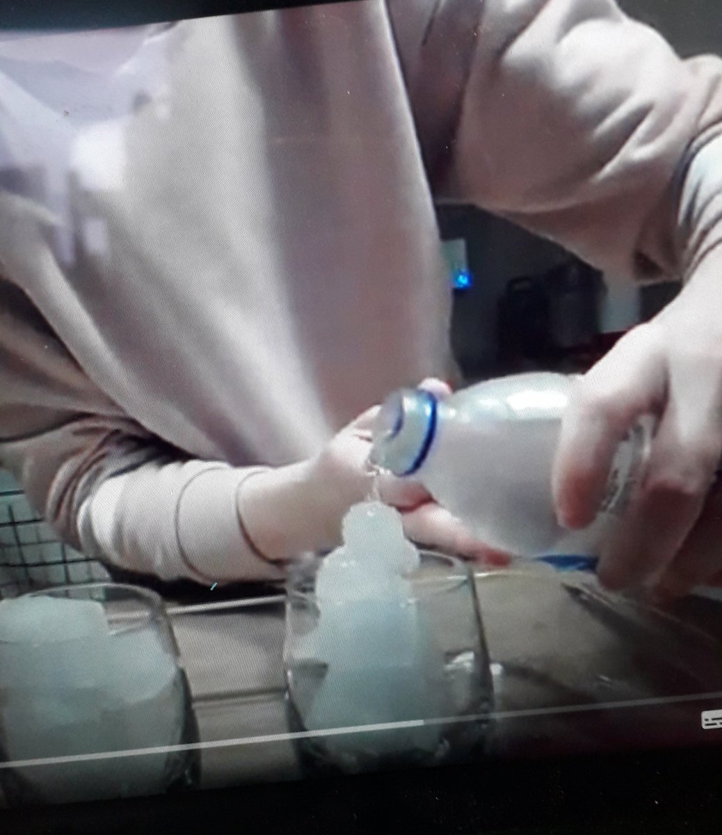 @earlyyearsWLP tweet media