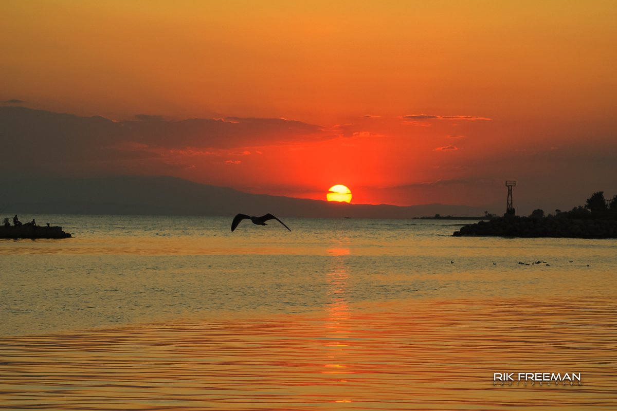 rickfr01's tweet photo. A reason I love to archive RAW files is to revisit the unused images and they look as if they were taken yesterday.
Such as this taken 10 years ago, on a #Canon #450D using a Canon 55-200mm f4 lens at #Halkidiki #Greece
@CanonGreece @CanonEMEApro @VisitHalkidiki #liveforthestory https://t.co/I2dHvdTbw8
