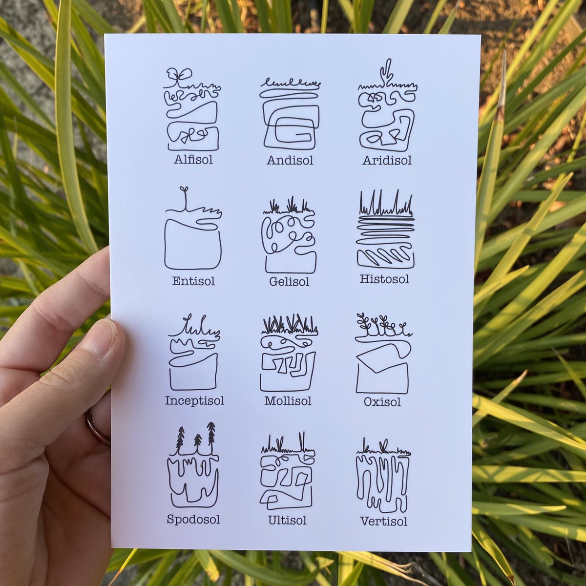 Yamina Pressler, PhD (@yaminapressler) on Twitter photo This artwork blends together the language of soil and the feeling of soil — all with a single line. I drew each soil profile with one continuous line to represent the integrated nature of soils. Prints & stickers available in our shop ✨ <a href="/4theloveofsoil/">For the Love of Soil</a> fortheloveofsoil.org/the-goods This artwork blends together the language of soil and the feeling of soil — all with a single line. I drew each soil profile with one continuous line to represent the integrated nature of soils. Prints & stickers available in our shop ✨ <a href="/4theloveofsoil/">For the Love of Soil</a> fortheloveofsoil.org/the-goods