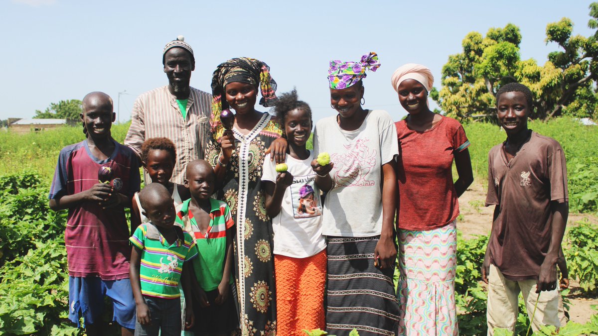 Treesftf's tweet image. With a blossoming Forest Garden in Fatick, Senegal 🇸🇳  Ousseynou Gaye can provide food and everyday essentials for his family.

#TreesfortheFuture