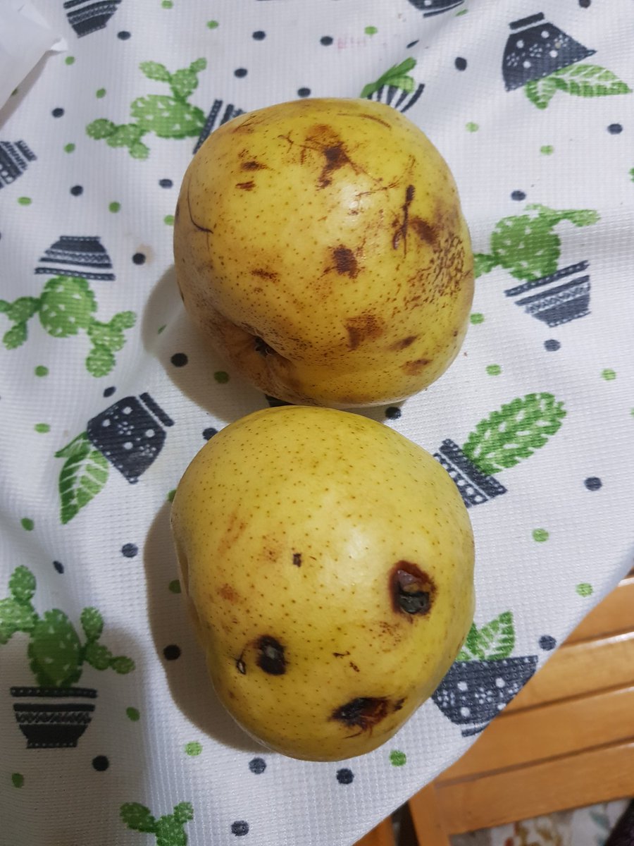 halilk6161's tweet photo. @kilicdarogluk Sn başkanın çalıştığım marketin çöpünden aldım halimiz bu varmı diyecek başka söz https://t.co/aAVM8ouYqF