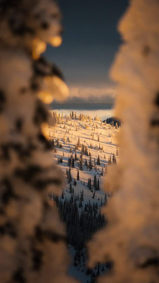 sunrise on the slopes