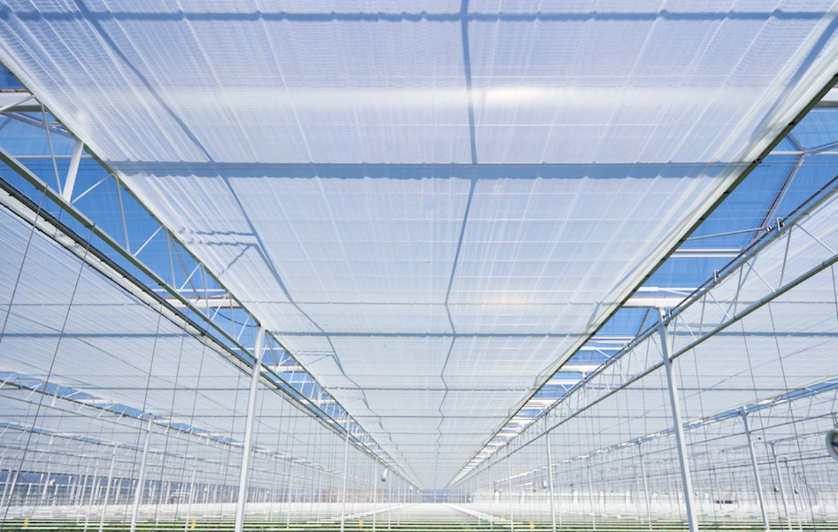 greenhouse energy curtain