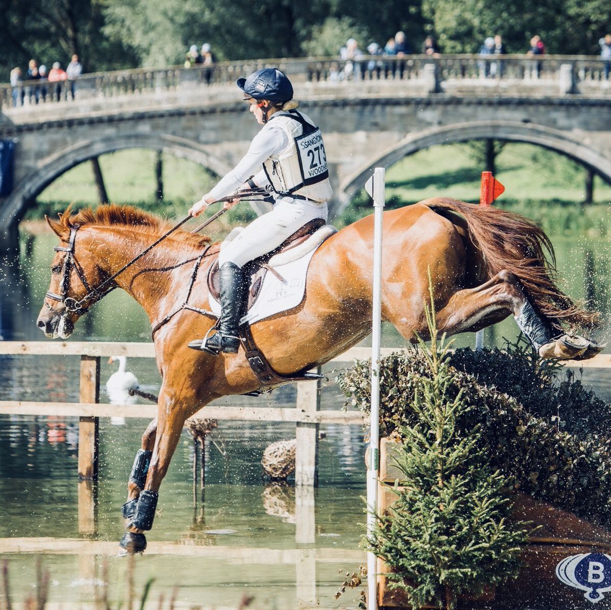 What a week it was! Podium for <a href="/hollyWoodhead2/">holly woodhead</a> &amp; home bred Parkfield Quintessential <a href="/BlenheimHorse/">Blenheim Palace International Horse Trials</a> in the prestigious CIC 8/9 2017. Looking forward to more times like this with lovely people &amp; proud to be able to offer beautiful horses to the market as we continue to grow 🇬🇧 🐎
