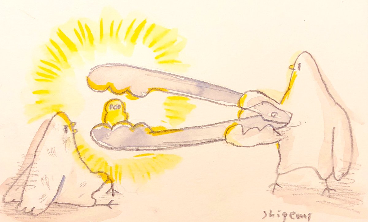 「トングに敗れ、ひよこを授かる。

#むちっ鳥 」|shigemiのイラスト