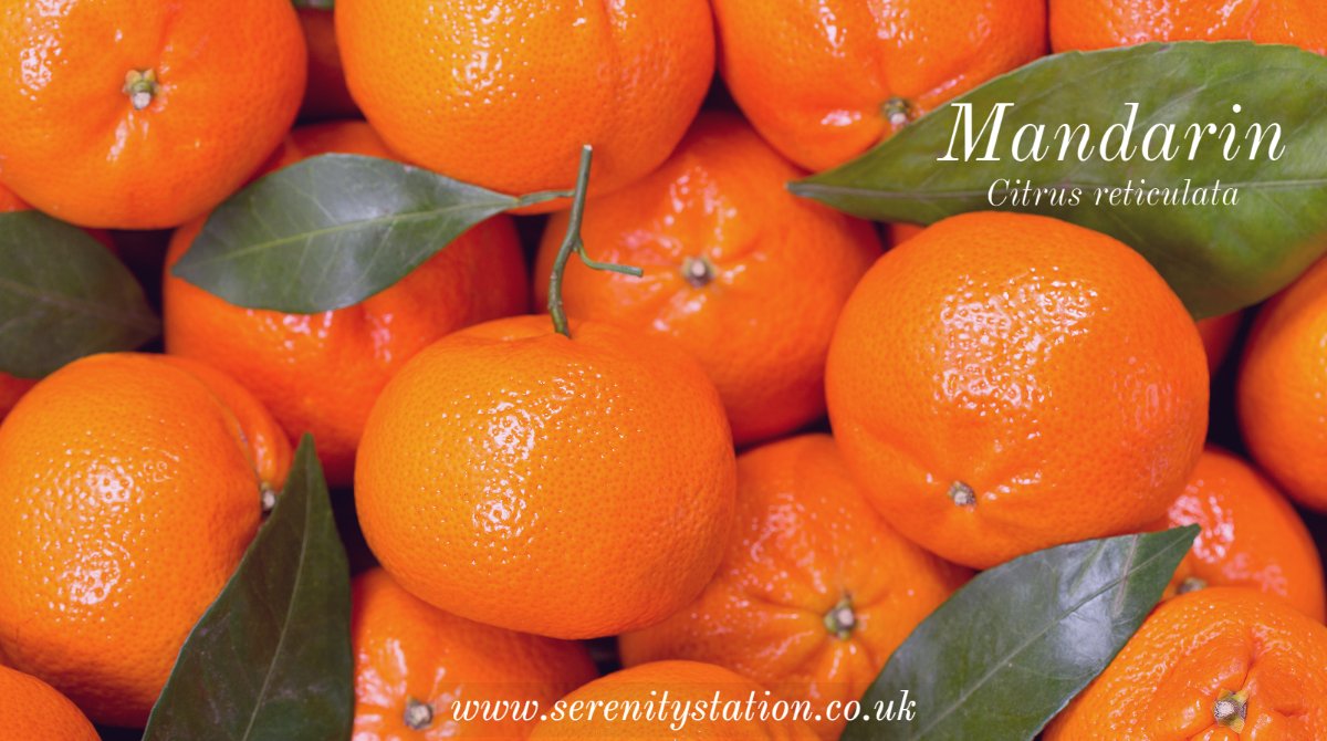 One of the benefits using #Mandarin oil is that is helps cell growth for both scar tissue and stretchmarks.