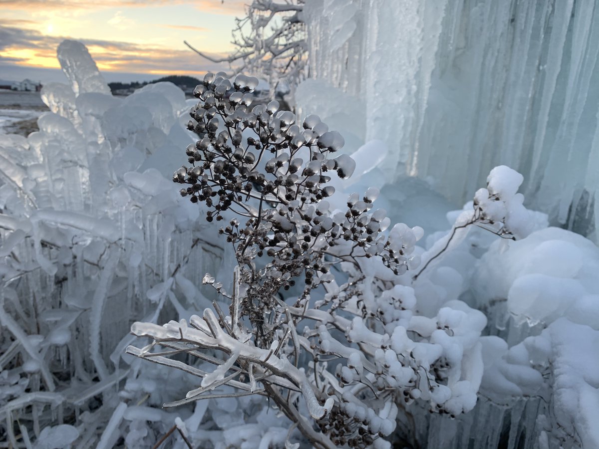 I walked outside for some fresh air. 4 hours of keyboard duty, needed a break. COVID has changed everything. Since March, instead of in-person team visits, assessment trips to the war zones  @PartnersRelief works in, and tours to speak at meetings & update supporters, I’m grounded