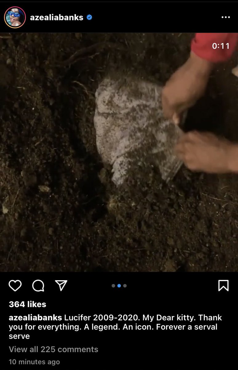 caca on X: AZEALIA BANKS JUST UPLOADED A VIDEO OF HER DIGGING UP HER DEAD  CAT AND COOKING IT?!?!? t.cohR2NsoFp1N  X
