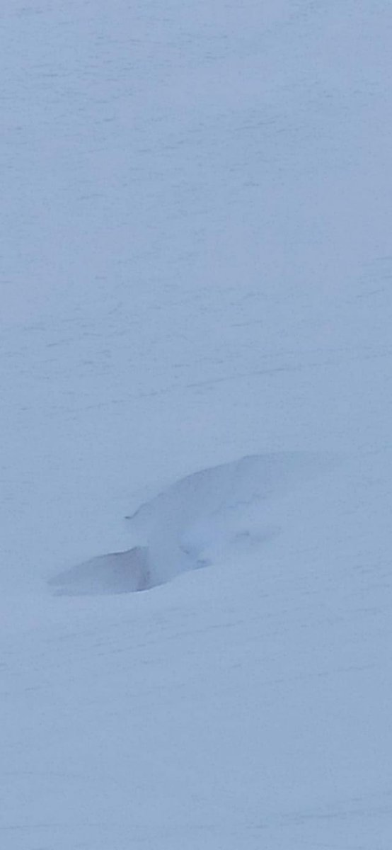 ⚠️ESKIATZAILE ETA MENDIZALE⚠️
Oñatin, Artzanburuko palan zulo bat agertu da. Eskistako txabola paretik seinalea pasatu eta Artzanburuko pala hasi eta ezkerraldean omen dago. Behiendako ura edateko askaren inguruan omen dago. Kontu handiz ibili!! Iturria: Aritz Altube. #Oñati