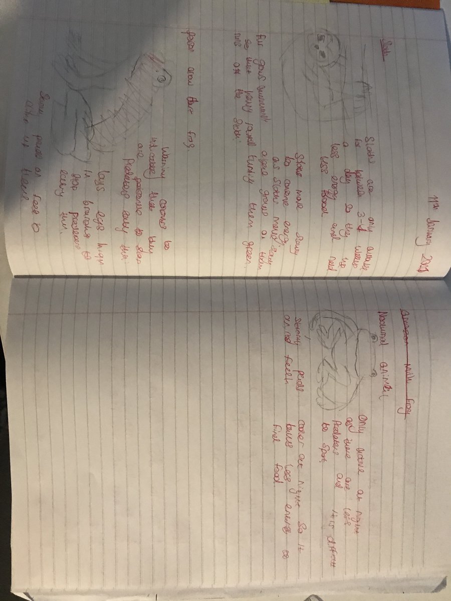 IGeography's tweet image. So HOPPY to see these excellent pieces of work from my year 10s when learning about plants and animals in the TRF, TREEmendous ;-) #geographyteacher #geography #tropicalrainforests