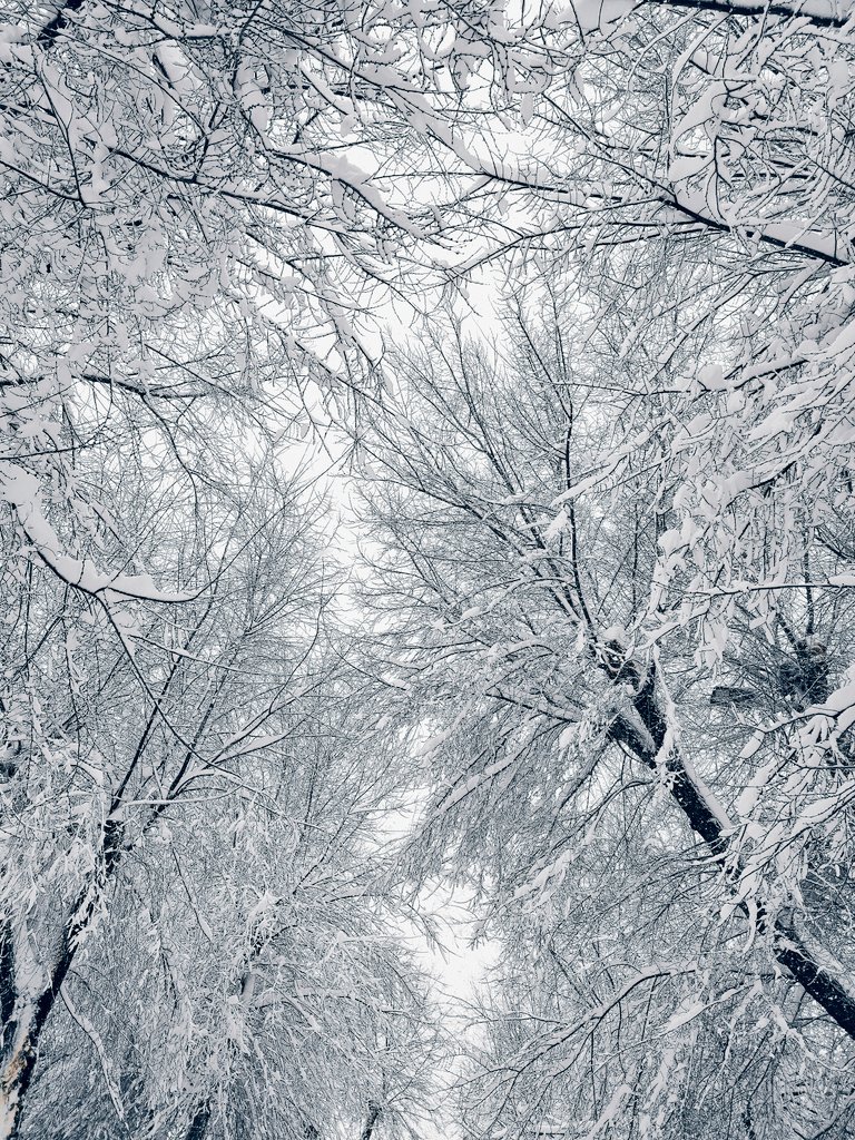 maibnitez's tweet photo. Va a ser difícil de olvidar la estampa invernal que dejó Filomena en Alcalá.
#AlcalaDeHenares
#Filomena https://t.co/u2ULDaehwn