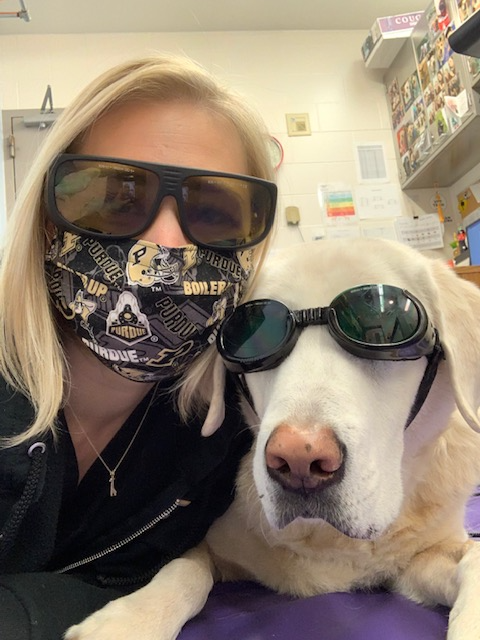 pucvm's tweet photo. Meet Simon!
He's an 11 yr old #Labrador who started physical rehab to maintain a healthy weight, strength, & cognitive health as he ages.
If you want to help your geriatric pet live their best life, call us at 765-494-1107.
#stycool #vetlife #dog @LifeAtPurdue https://t.co/oHMCamD8S9