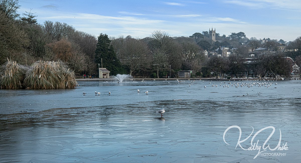 kathleenjeanw's tweet photo. #HelstonCornwall #BoatingLake #snow #photography
#frozenlandscapes https://t.co/UuJ6aq0rY8
