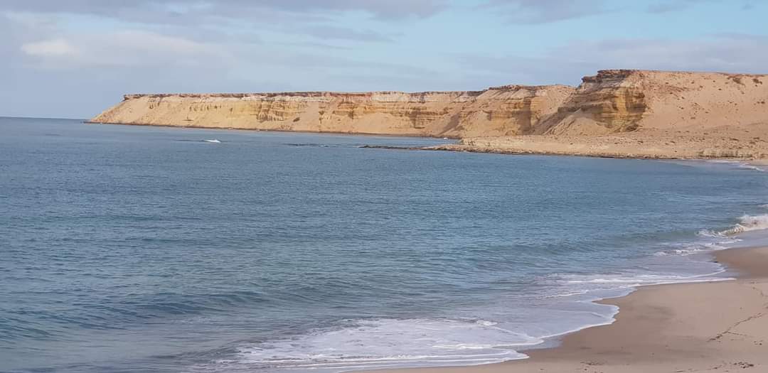 GREPOMBirdlife's tweet photo. Censuses of migratory water birds at Puerto Rico beach and the bay of Dakhla on the side of Duna blanca and bou-Talha.
 #Dioe #IWC https://t.co/qGevlpR9zL