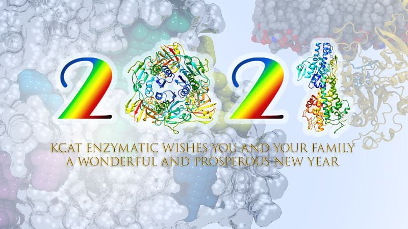 Kcat Enzymatic wishes you a Happy and Successful New Year 2021!!!!
#newyear #newbeginning #newjourney #successful2021