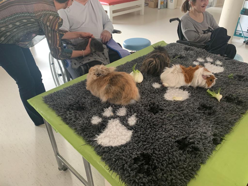 [#VotreVerdaich] Hier après-midi avait lieu la première séance de médiation animale de notre projet de #rééducation dans le service d'Unité d'éveil de comas. 
Merci aux équipes et à "Patoun'Emoi" ! 

Nous vous donnerons plus d'informations sur le projet très prochainement. #sante
