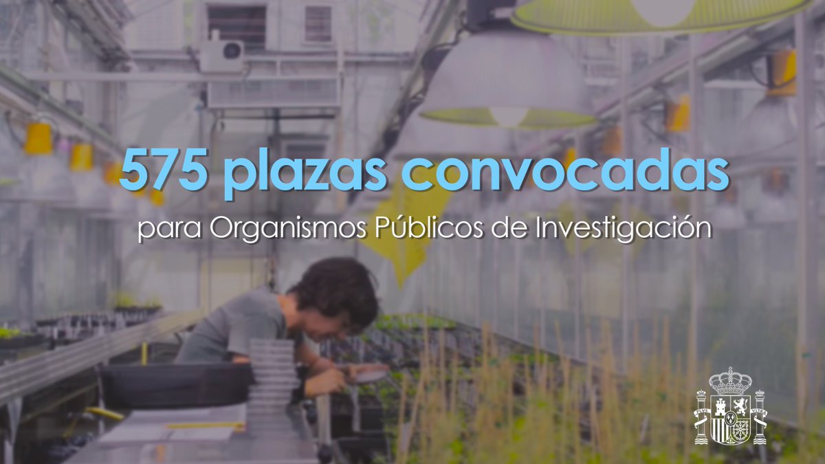 Convocamos 575 plazas en los Organismos Públicos de Investigación:

Técnicos especializados (133)
🗓️ 26/1
➡️ bit.ly/2XxAlmy

Técnicos superiores especializados (194)
🗓️ 1/2
➡️ bit.ly/2XxtWHX

Ayudantes de investigación (248)
🗓️ 5/2
➡️ bit.ly/3bviYeg