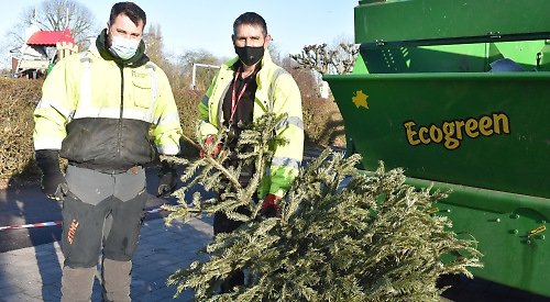 David White tweet media