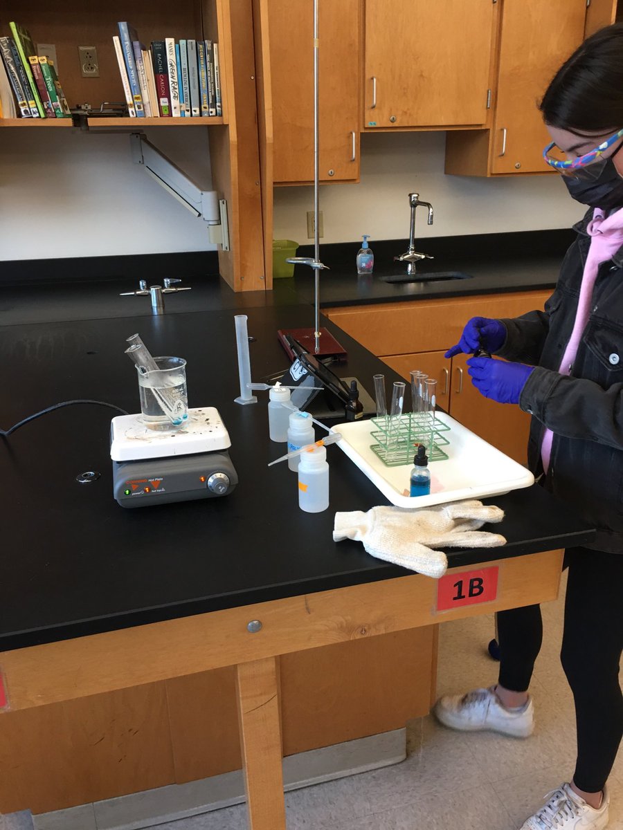 With no lab groups to rely on, students develop confidence in their own skills!  Great results identifying carbohydrates.