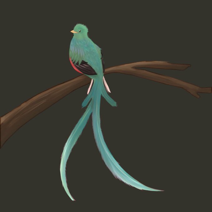 ケツァール 鳴き声 メタルギア