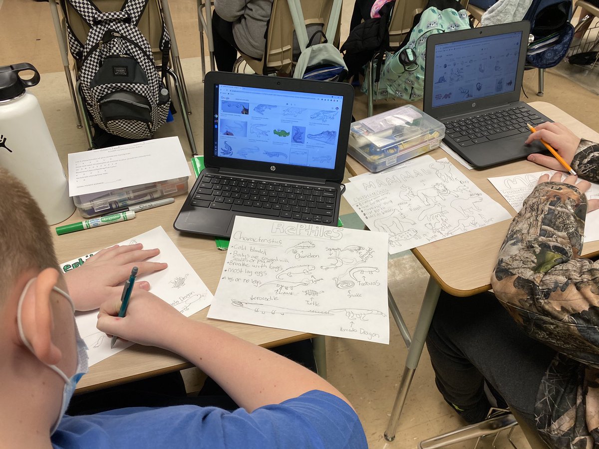 Taking our study of vertebrates to a deeper level. Making learning engaging, relevant and personal!
<a href="/WilsonsCreekInt/">Wilson's Creek</a> <a href="/officialSPS/">Springfield Public Schools</a> <a href="/DrKarynChristy/">Karyn Christy</a>