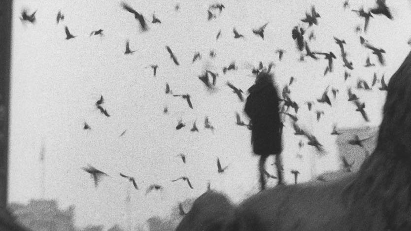 "Con el tiempo todo pasa. He visto, con algo de paciencia, a lo inolvidable volverse olvido, y a lo imprescindible, sobrar".⁣
Gabriel García Márquez⁣
📷Sergio Larraín