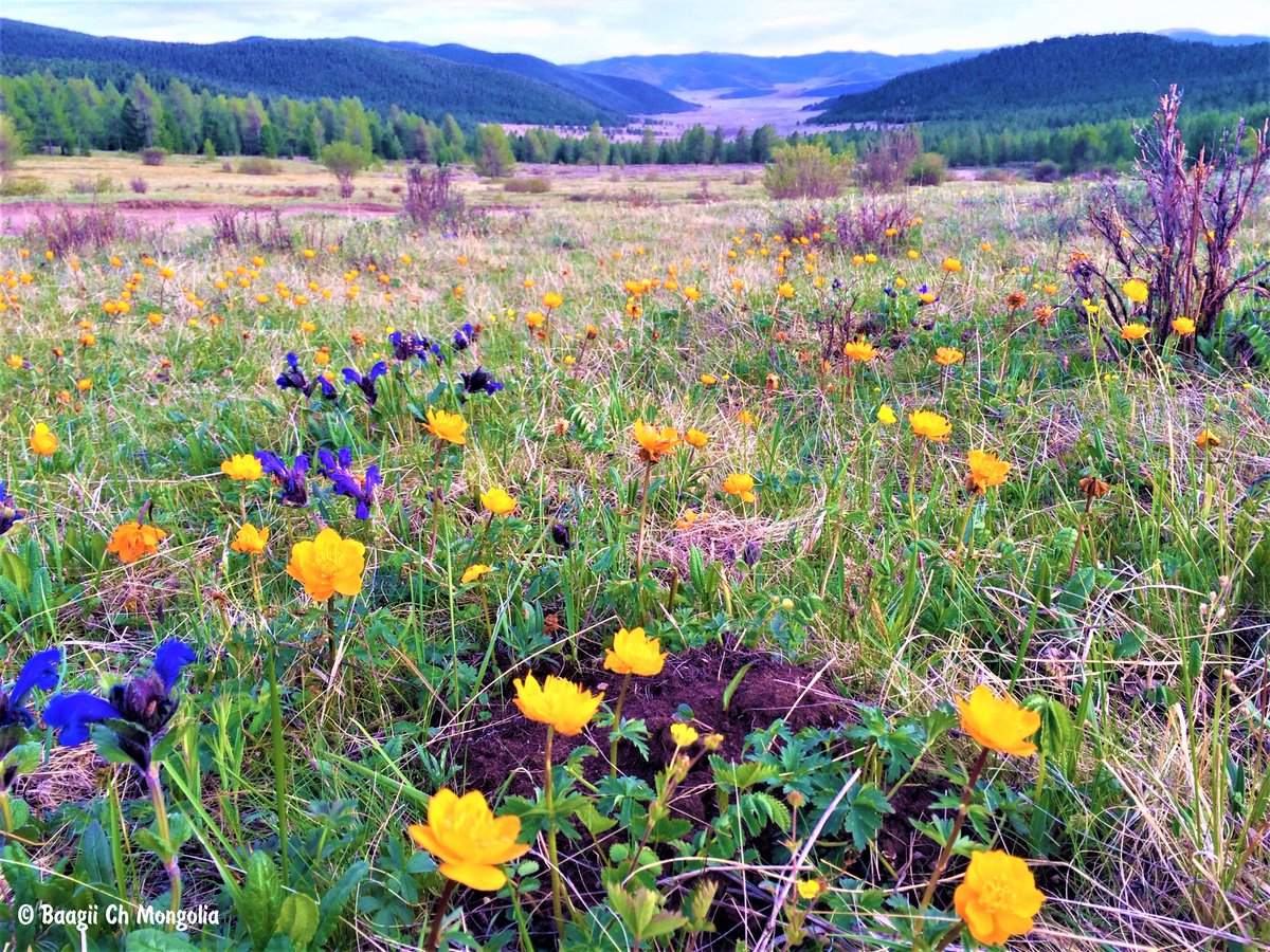 Өвтийн даваа
Өвөрхангай аймгийн Бат-Өлзий сум