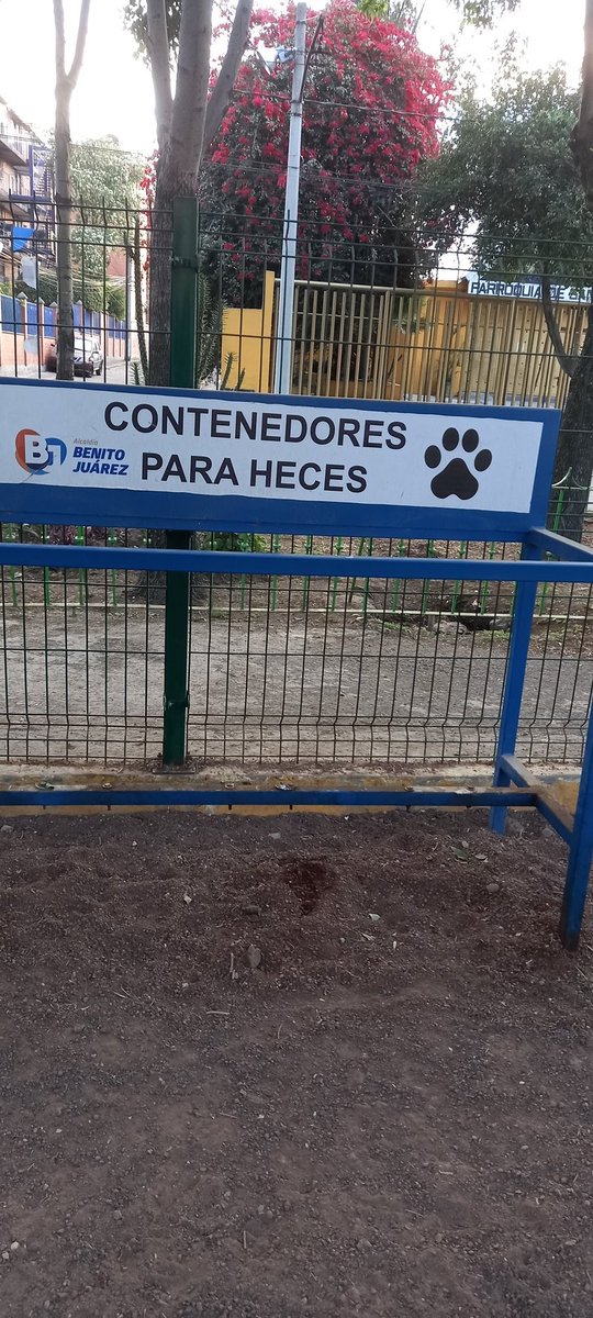 yacofchaban's tweet photo. @BJAlcaldia @AccionesBJ llevamos más de 1 mes sin limpieza en nuestros parques para mascotas. Plutarco Elias Calles esq. Zacahuitzco. Frente a la #ParroquiaSanAntonioPadua https://t.co/9I3mb7tmuc
